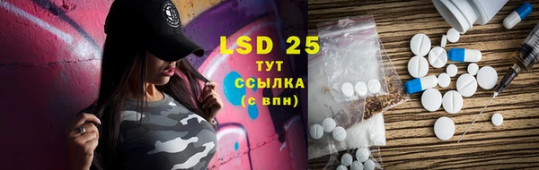 прущие грибы Ладушкин