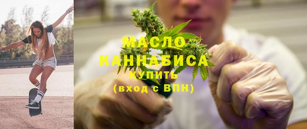 индика Снежинск