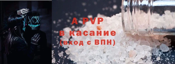 прущие грибы Кулебаки
