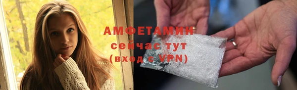 прущие грибы Кулебаки