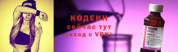 мдпв Лабытнанги