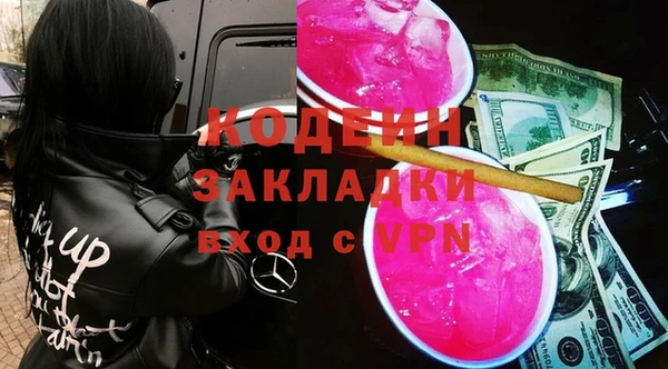 прущие грибы Ладушкин
