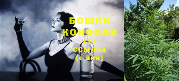 прущие грибы Кулебаки