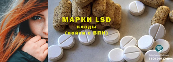 прущие грибы Ладушкин