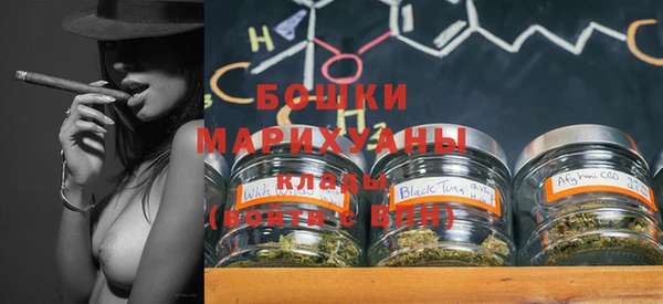 прущие грибы Кулебаки
