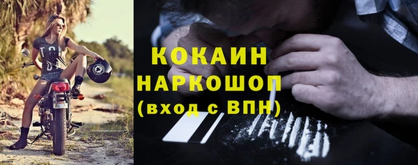 прущие грибы Кулебаки