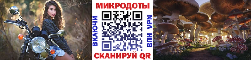 закладки  Горячеводский  Псилоцибиновые грибы мухоморы 